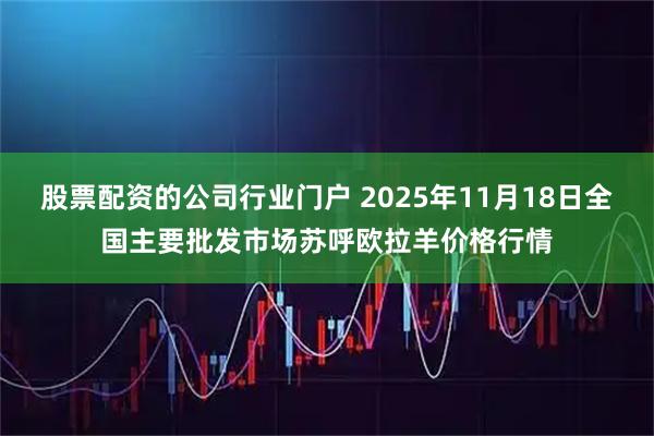 股票配资的公司行业门户 2025年11月18日全国主要批发市场苏呼欧拉羊价格行情