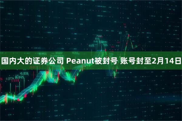 国内大的证券公司 Peanut被封号 账号封至2月14日