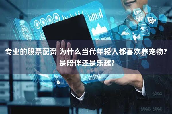 专业的股票配资 为什么当代年轻人都喜欢养宠物? 是陪伴还是乐趣?