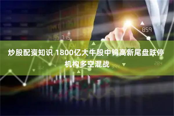 炒股配资知识 1800亿大牛股中钨高新尾盘跌停 机构多空混战