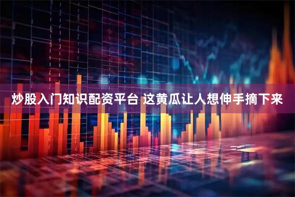 炒股入门知识配资平台 这黄瓜让人想伸手摘下来