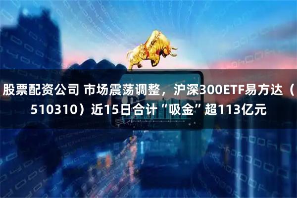 股票配资公司 市场震荡调整，沪深300ETF易方达（510310）近15日合计“吸金”超113亿元